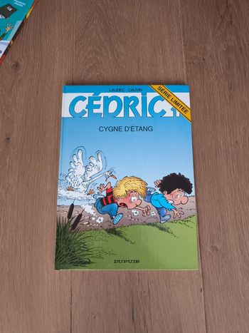 Bd Cédric cygne d'etang