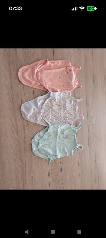 Bodies