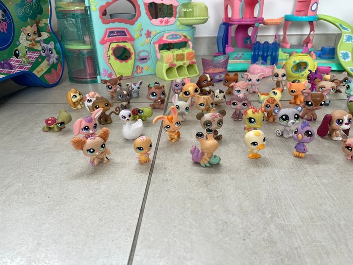 Gros lot pet shop - photo numéro 6