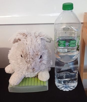 Grande peluche 25 cm lapin blanc gris