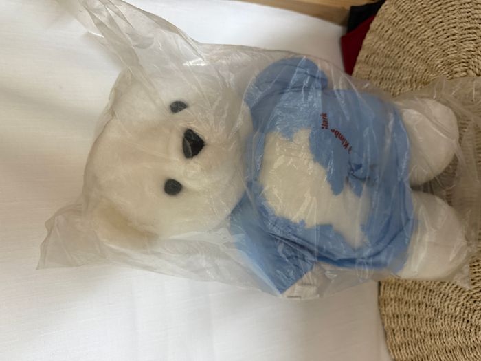 doudou ours hospitalisé - photo numéro 1