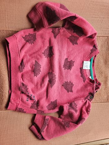 Pull sweat Zara 12/18 mois