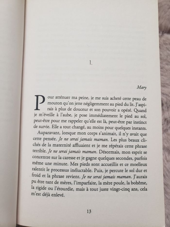 Roman - photo numéro 4
