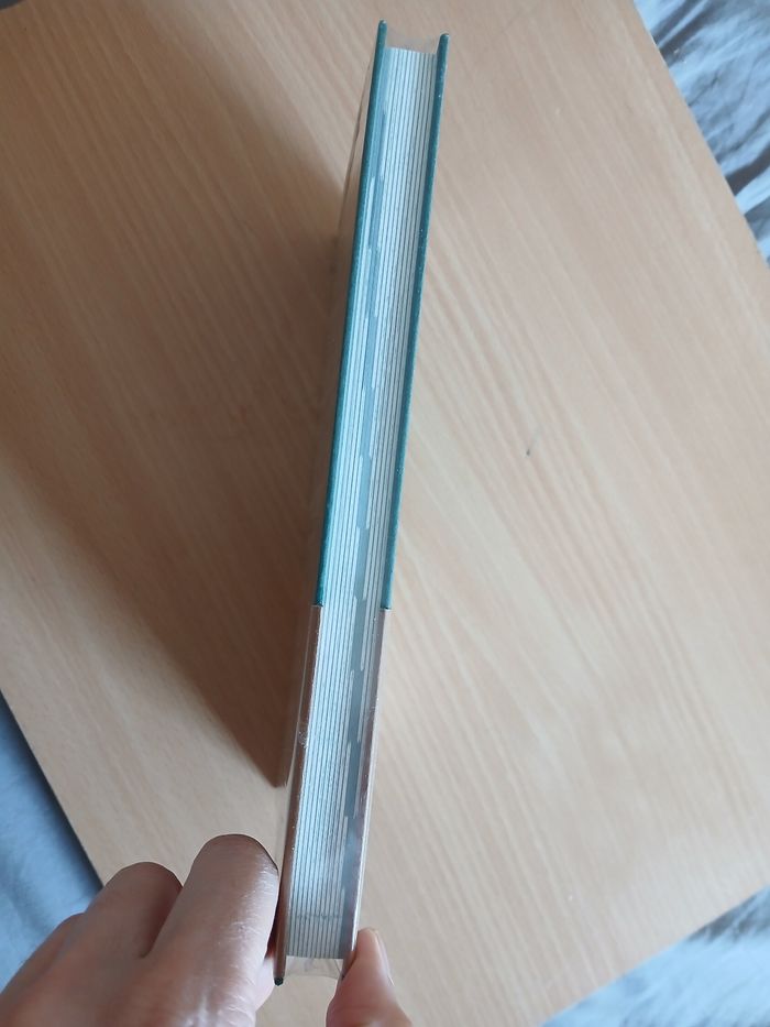 Mon carnet d’herboriste au fil des saisons - photo numéro 4