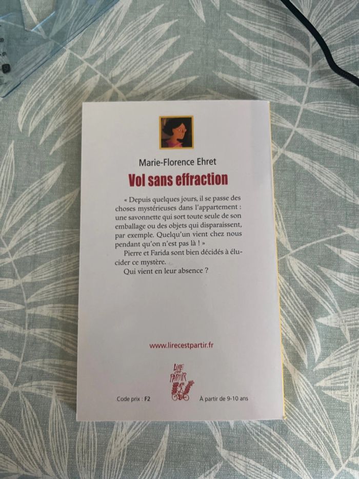 Livre neuf vol sans effraction - photo numéro 2