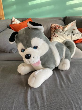 Husky