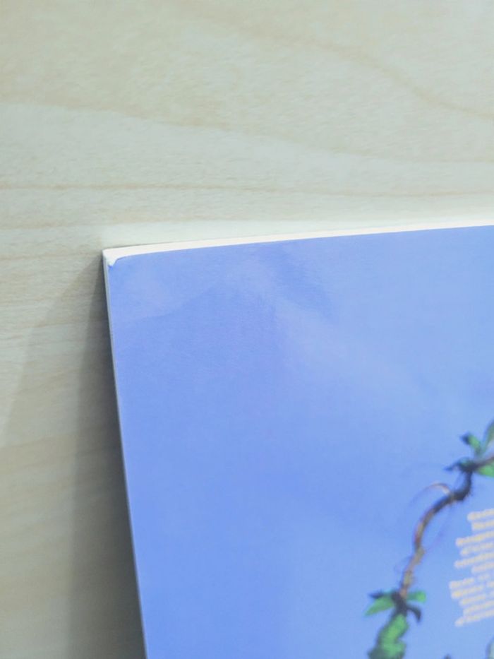 🌺 Livre (école des loisirs) : Toto l'ornithorynque et l'arbre magique - photo numéro 6