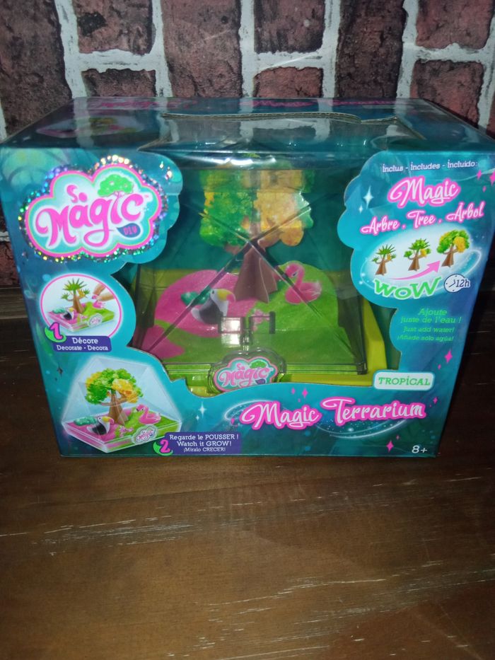 Terrarium arbre magique
