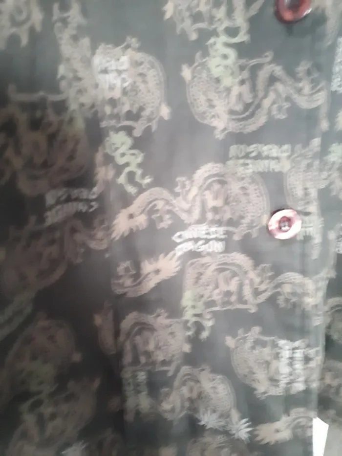 Veste toile kaki imprimé dragon 4 - photo numéro 3
