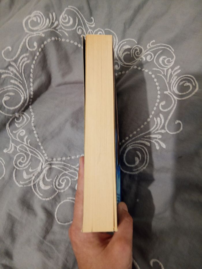 Livre (50) 📚 Ne t'enfuis plus - photo numéro 5