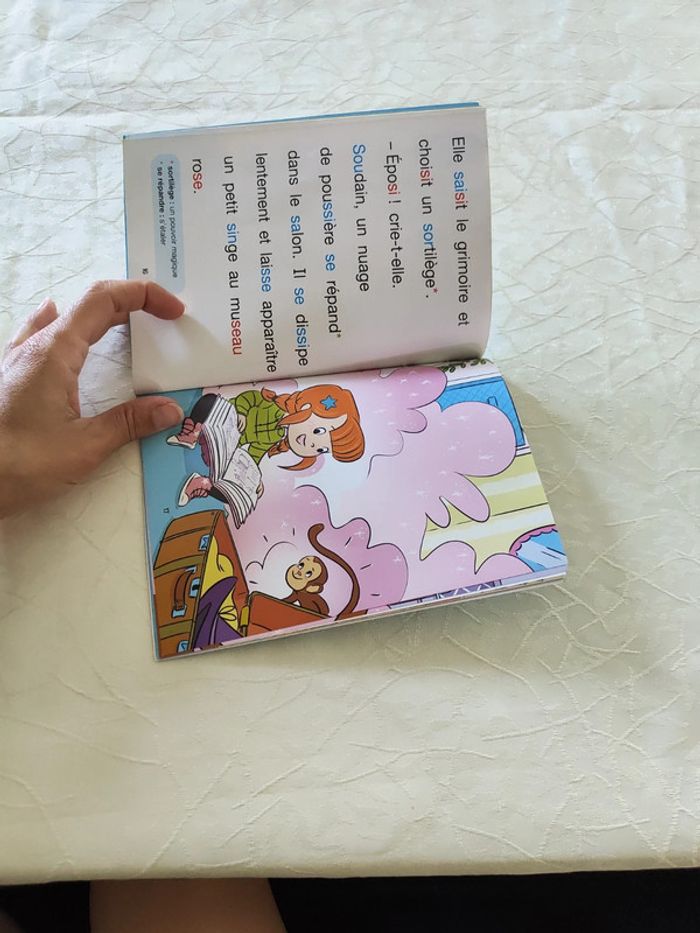 Livre - photo numéro 6