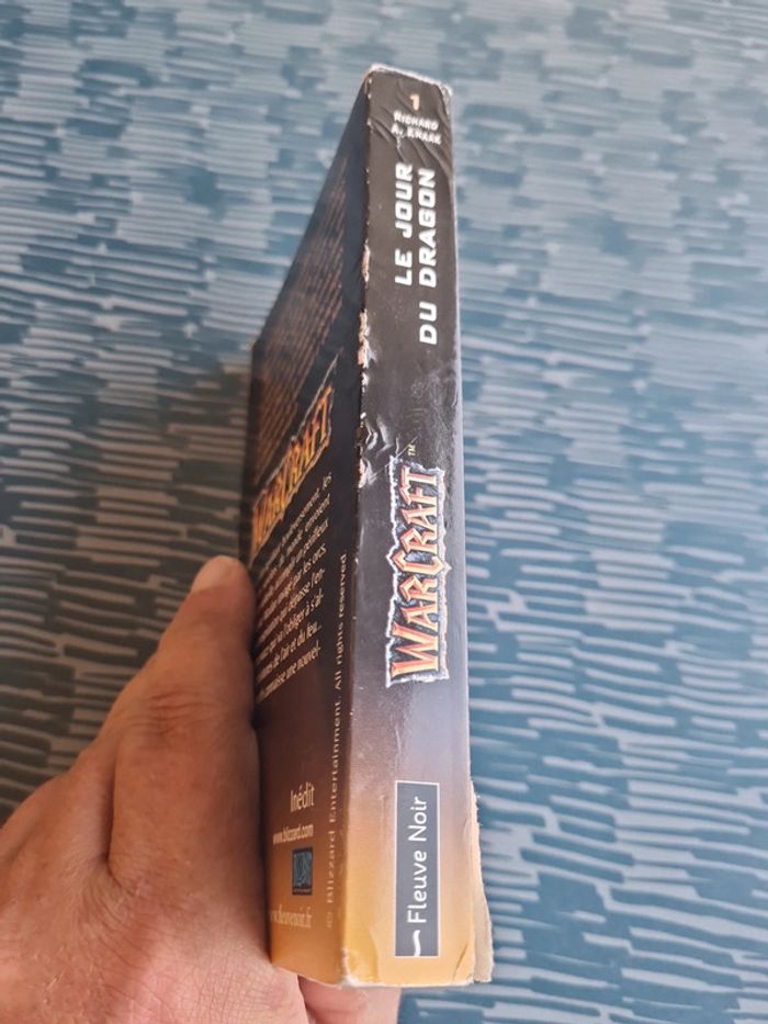 Le jour du dragon - photo numéro 3