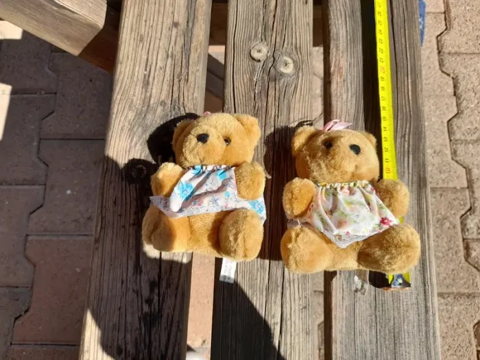 Lot 2 oursons en peluche h/f - photo numéro 3