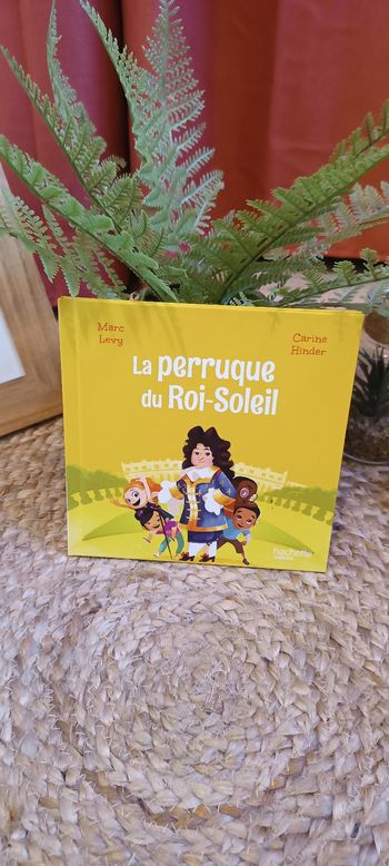 Livre Mc Do "Le club des aventuriers de l'Histoire" _ La perruque du Roi-Soleil