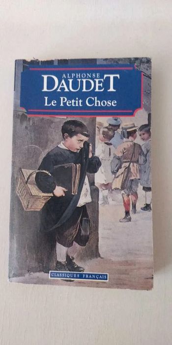 Livre Le Petit Chose