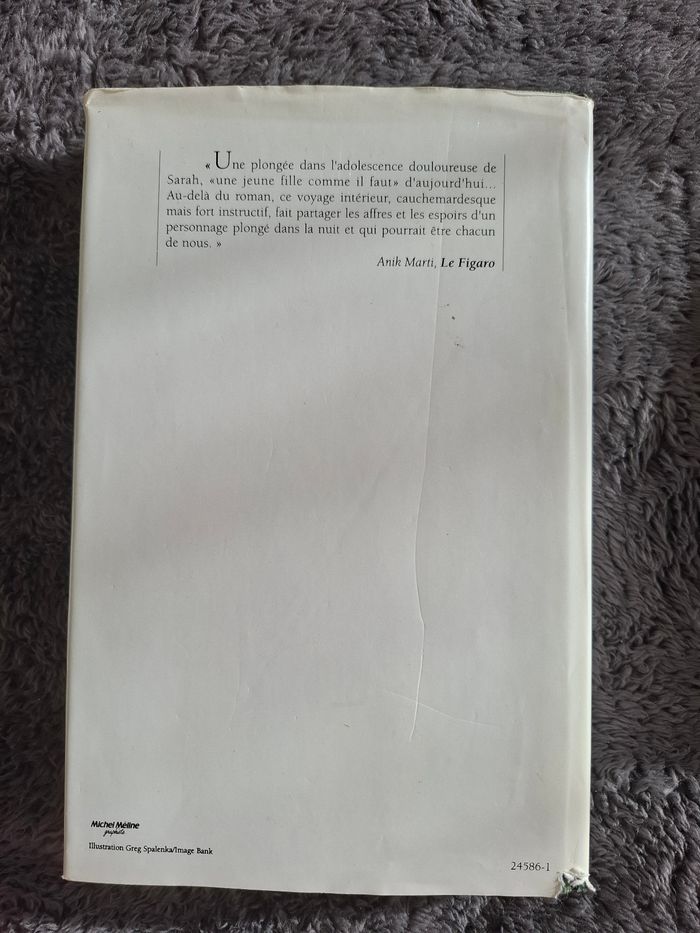 Roman Une jeune fille bien comme il faut de Ysabelle Lacamp en bon état - photo numéro 3
