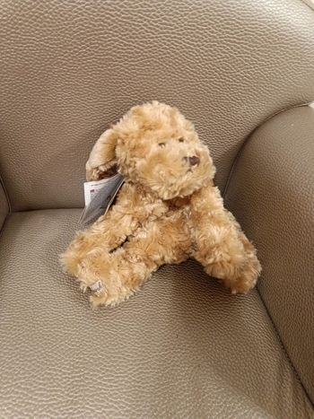 Peluchien chien bukowski