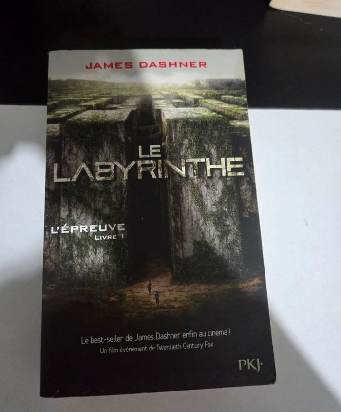Le labyrinthe tome 1