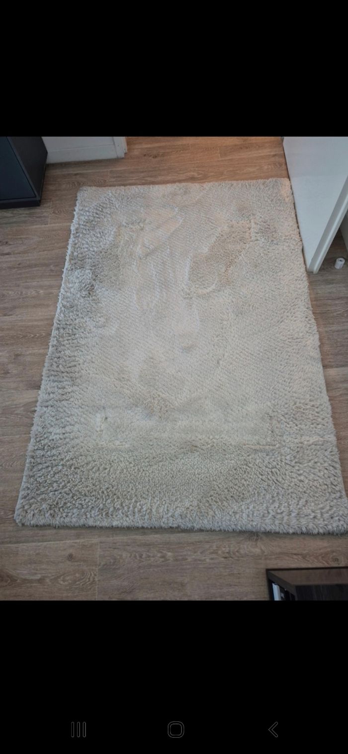 Tapis blanc - photo numéro 2