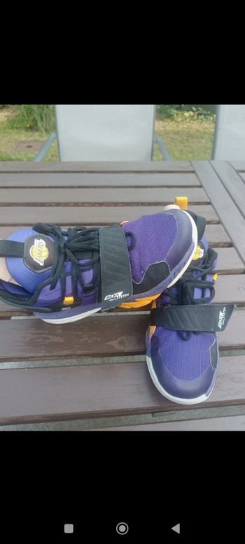 basket tarmak collection NBA Lakers