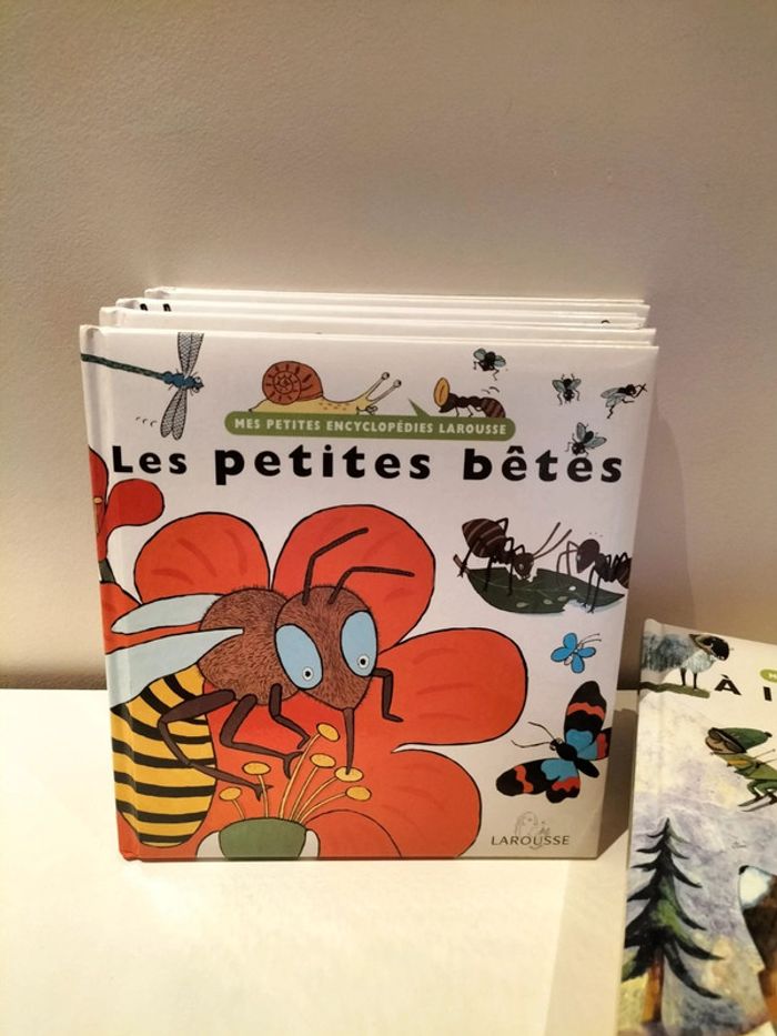 Lot de 8 documentaires Mes petites encyclopédies - photo numéro 8