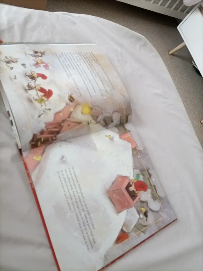 Livres de Noël - photo numéro 7