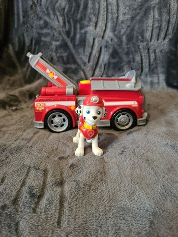 Marcus pat patrouille 