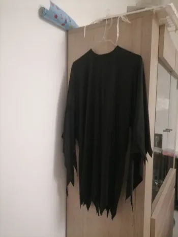 Déguisement chauve souris