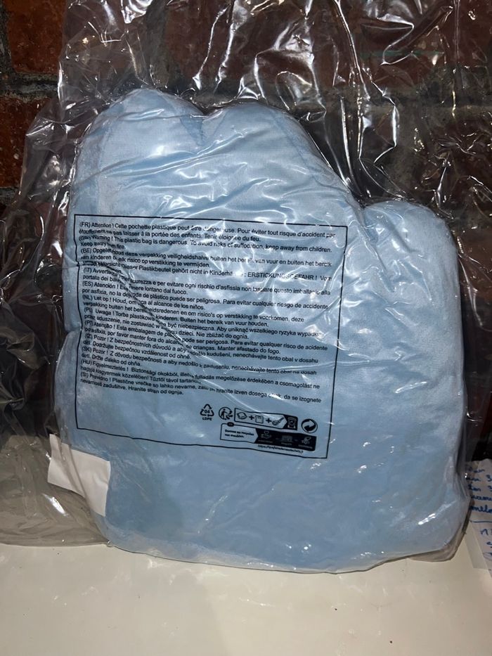 Coussin Bluey - photo numéro 2