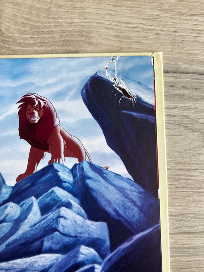 Audio conte le roi lion - photo numéro 2