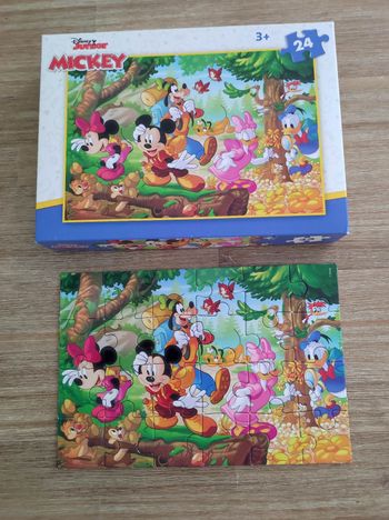 Puzzle 24 pièces 