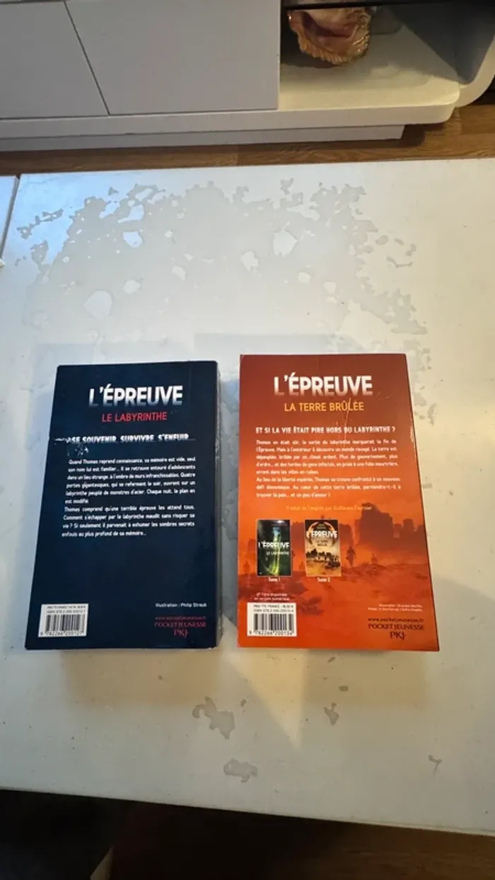 📚 Lot 2 livres – L’Épreuve de James Dashner Tome 1 : Le Labyrinthe Tome 2 : La Terre Brûlée - photo numéro 2