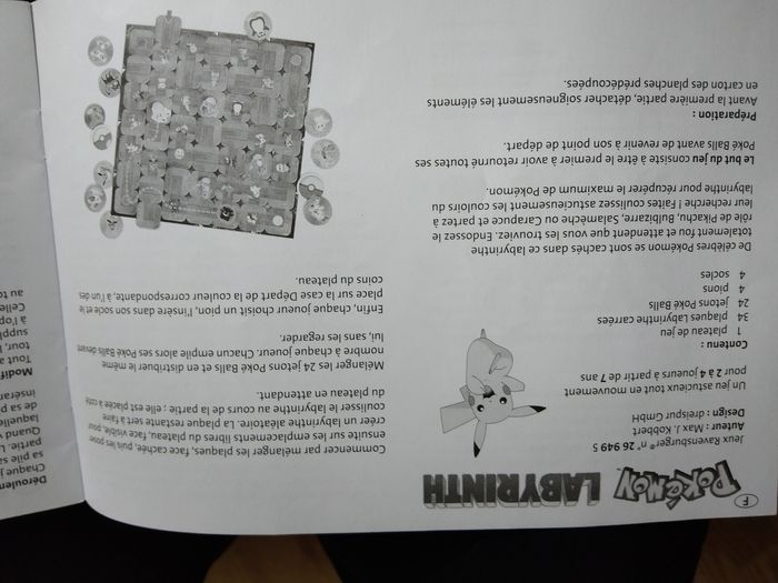 Labyrinthe pokémon - photo numéro 2