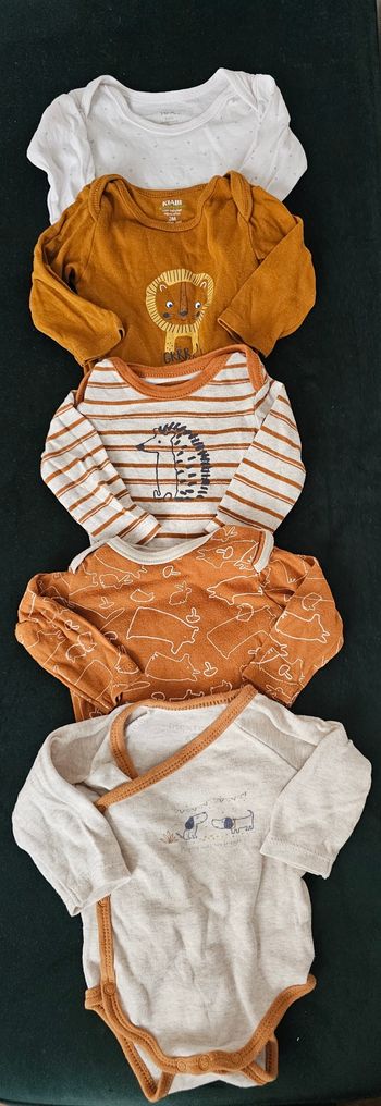 Lot de 5 bodies bebe 3 mois coton