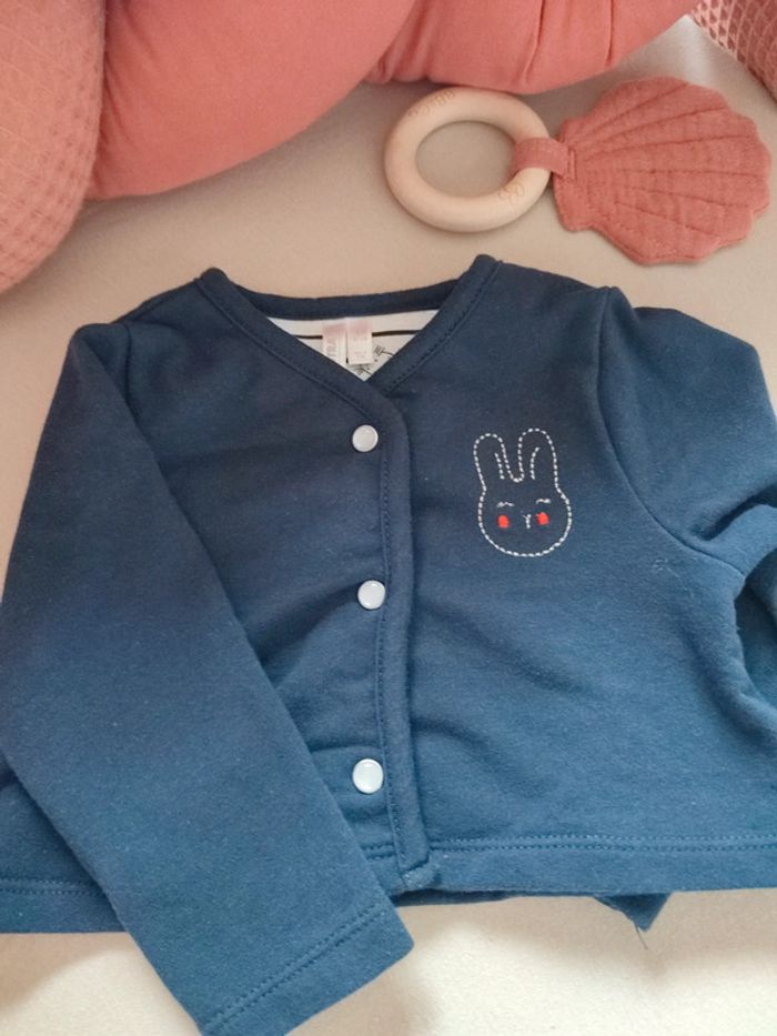 Ensemble orchestra - photo numéro 3