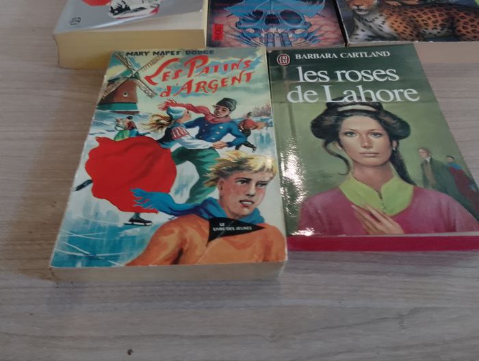 Lot de 5 livres de poche(11) - photo numéro 3