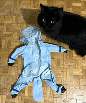 Imperméable pour petit animal
