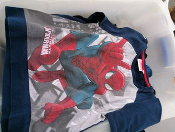 Sweat spiderman
