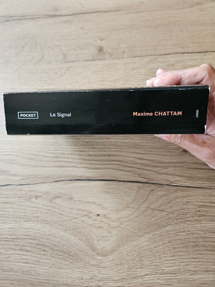 Le signal de Maxime Chattam - photo numéro 4