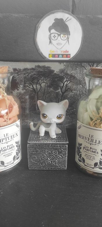 Littlest Petshop Pet Shop LPS Authentic  Authentique cat Shorthair European 138