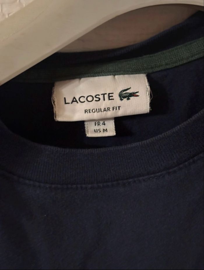 Tee-shirt Lacoste - photo numéro 2