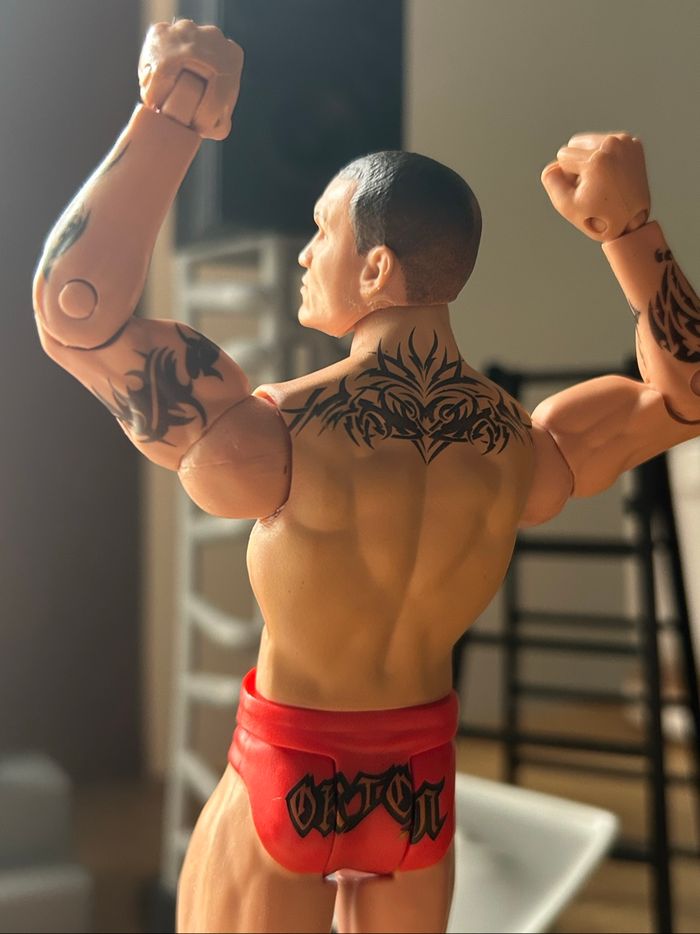 Randy Orton WWE Action Figure - photo numéro 2