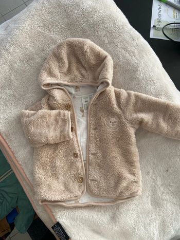 Veste