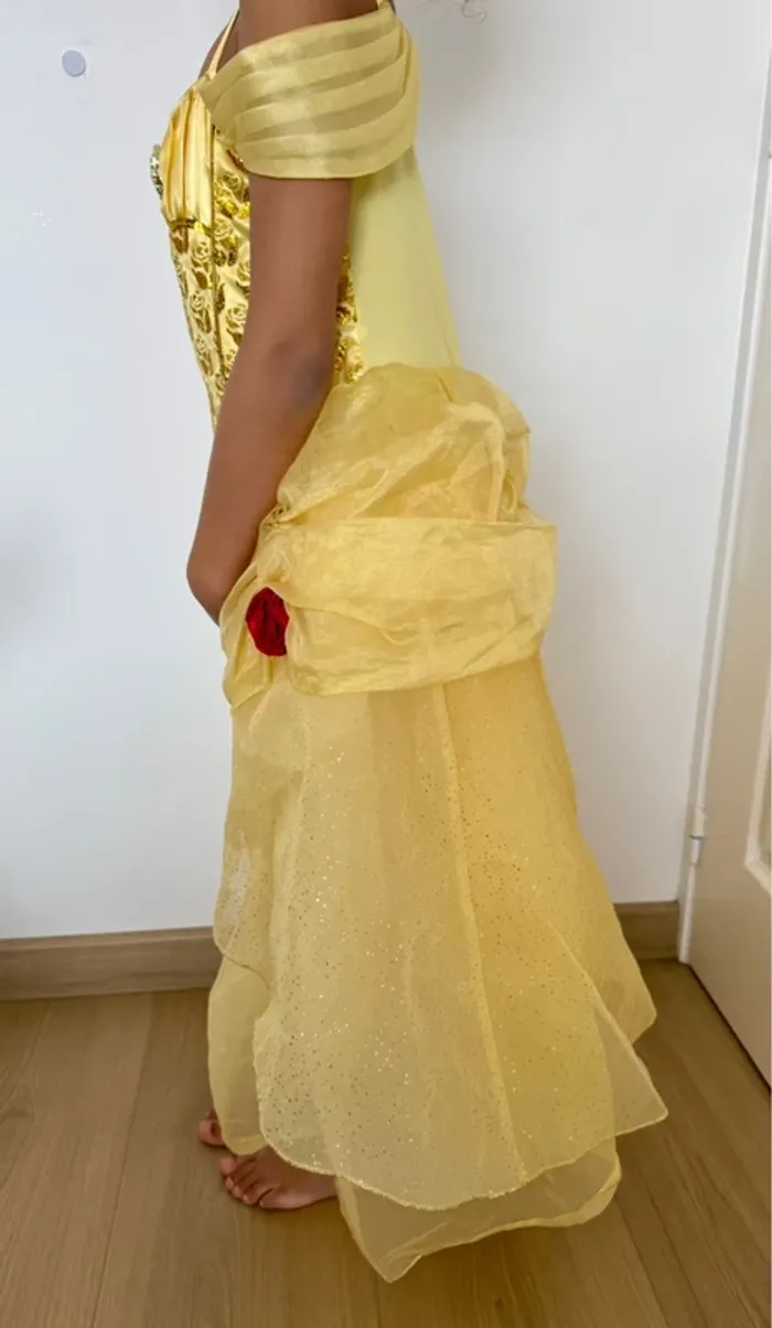 Robe de princesse - photo numéro 2