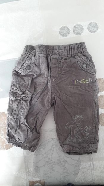 Pantalon velours Tigrou