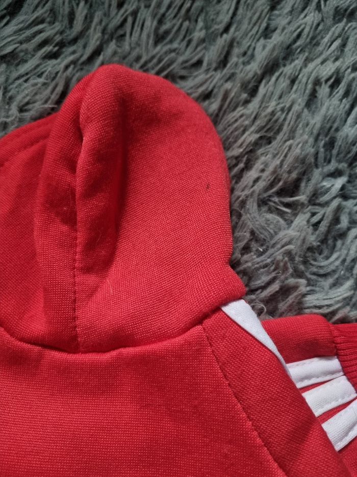 Pull rouge à capuche taille XS chien ou chat - photo numéro 9