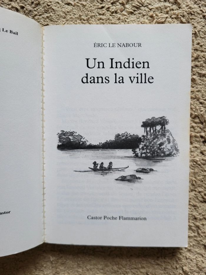 Roman jeunesse "Un indien dans la ville" d'Éric Le Nabour - photo numéro 5