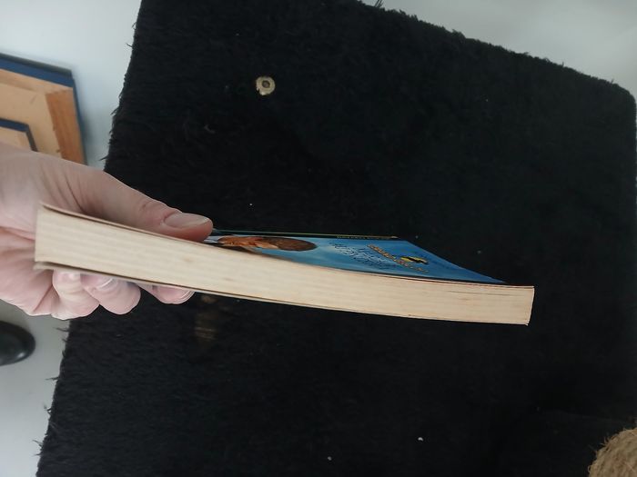 Livre enfant - photo numéro 3