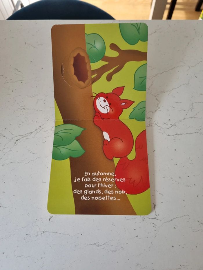 Grignotin l'écureuil - photo numéro 4