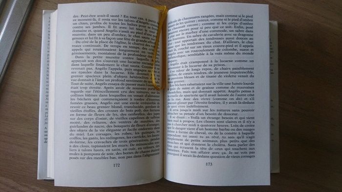 Livre Le Hussard sur le toit - photo numéro 4